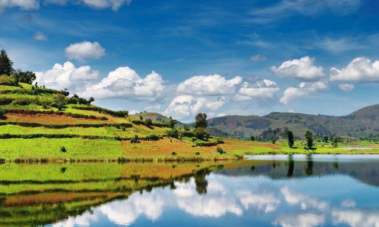 4 Days Bwindi Gorillas & Lake Bunyonyi Leisure Safari