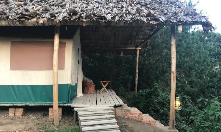 Budget Lodges in Ruhija Sector - Affordable Stays for Gorilla Trekking Bwindi
