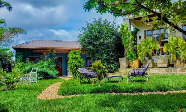 Little Birds Paradise Rwanda