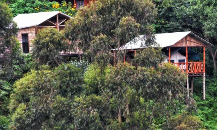 Ruhija Community Rest Camp