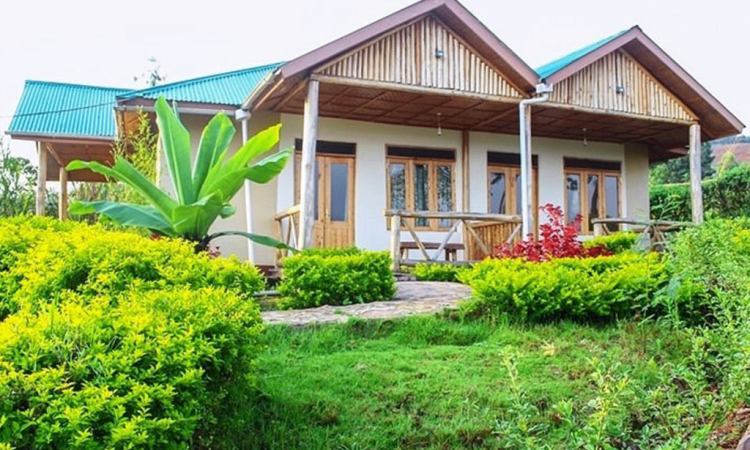 Rushaga Sector Bwindi - Budget Gorilla Trekking Lodges & Travel Guide