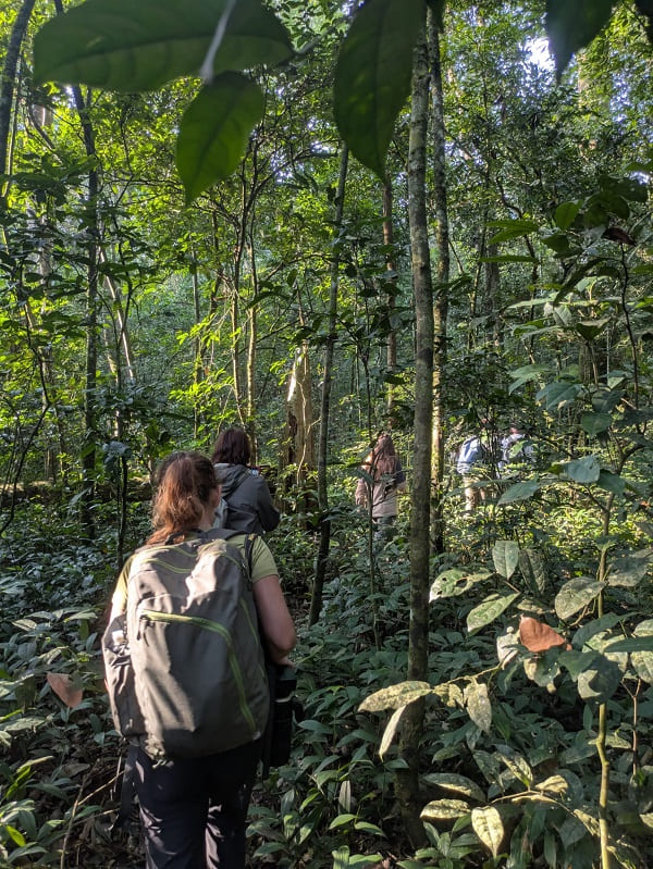 Budget Gorilla Holidays' Clients on Trip to Bwindi